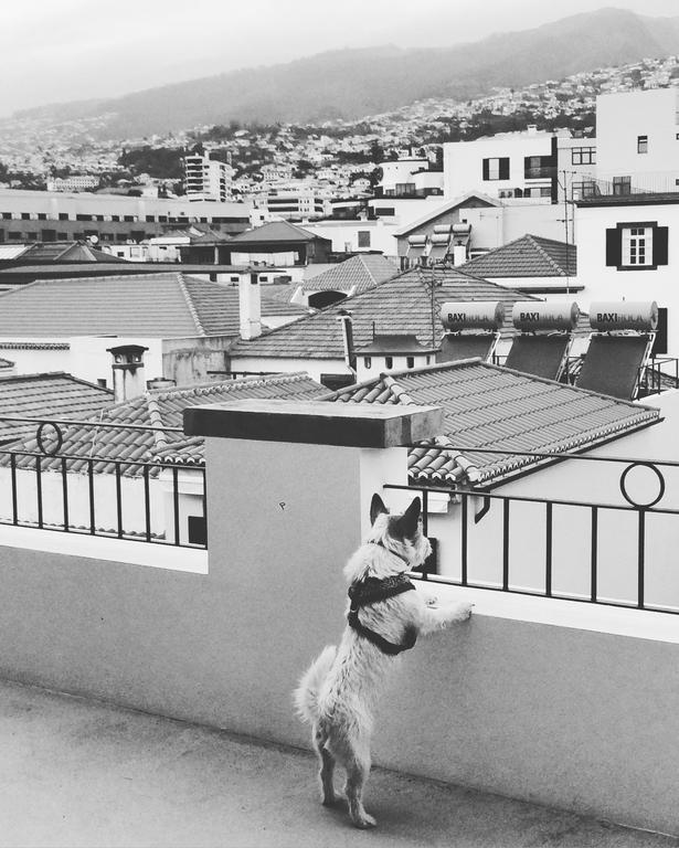 Endemic - Concept Apartment Funchal  Extérieur photo